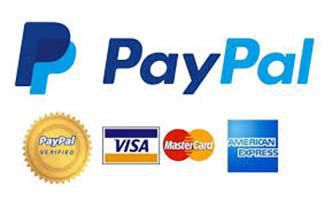 PayPal Logo Banner with credit card images